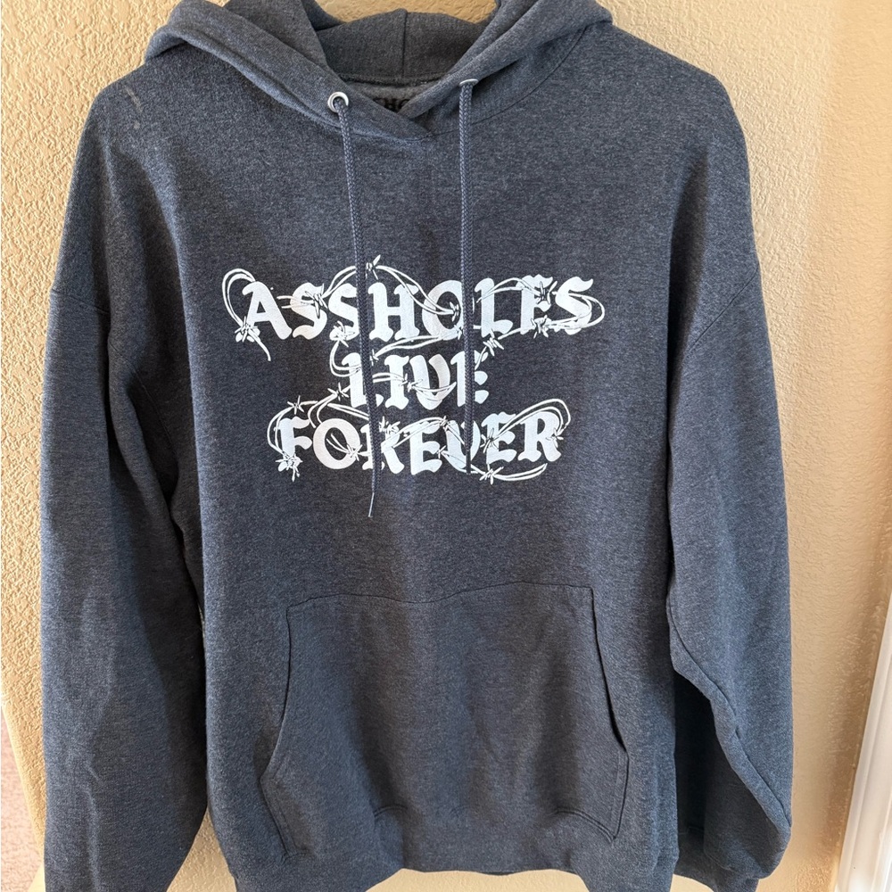 Assholes Live Forever Gray Hoodie Large